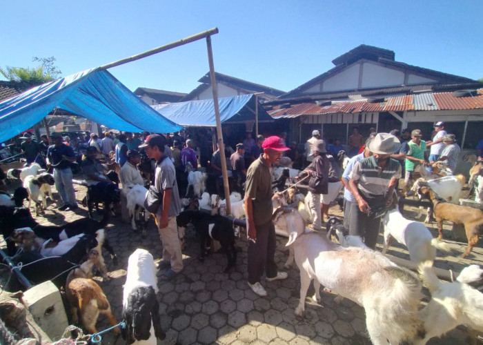 Pasar Hewan Cilongok Menyusul Diserahkan Ke Dinkannak Banyumas