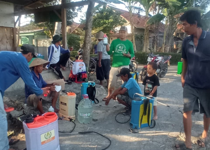 Petani Jatiluhur Gelar Gerdal Perdana Kacang Hijau