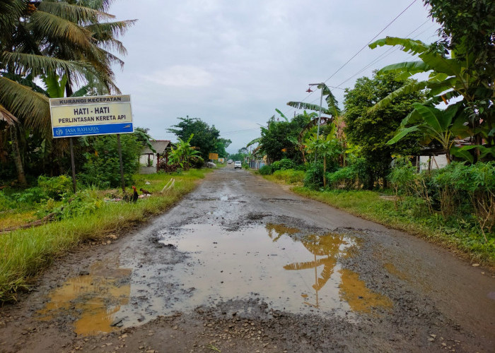 Jalan Rusak Sepanjang 5 Kilometer di Desa Gentasari, Cilacap Mendesak Diperbaiki