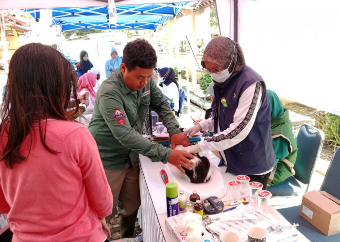 Puskeswan Kroya Layani Vaksinasi Hewan Gratis Hingga ke Desa