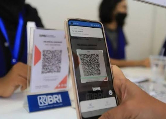 Lewat BRIlink, PMI di Desa Talang Pangeran Mudah Kirim Uang ke Kampung Biaya Murah Cepat Sampai 