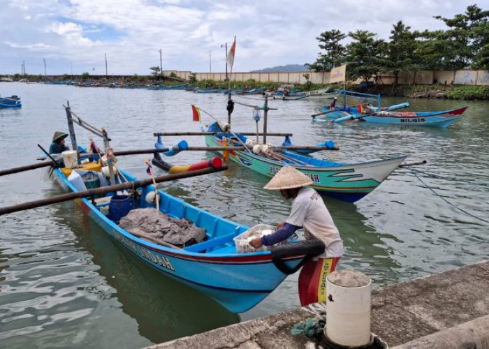 Bawal Putih Menghilang Jelang Imlek, Harga Terancam Melambung