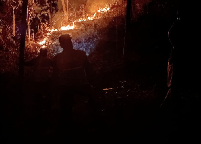 Kebakaran Lahap 2,5 Hektare Lahan Jatilawang Banyumas, Warga Dan Damkar Turun Memadamkan