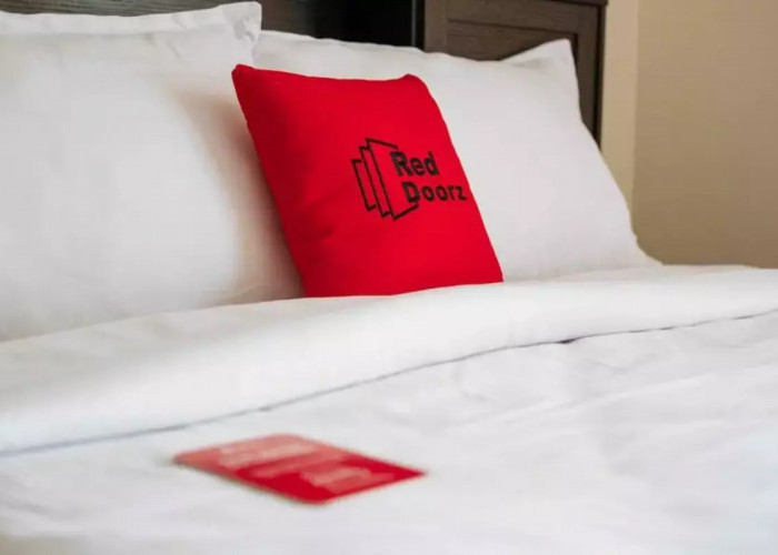 Hotel RedDoorz yang Memberikan Pengalaman Menginap Murah dan Mudah Ditemukan