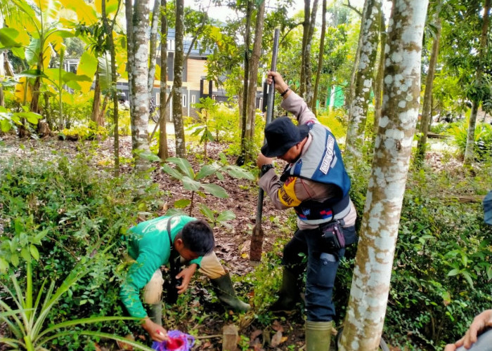 PTSL, Harus Jelas Asal Usul dan Batas Bidang Tanah