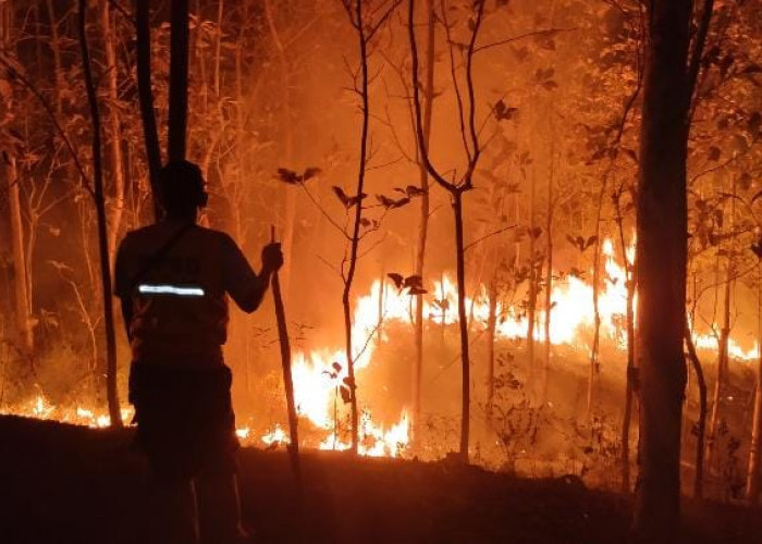 Karhutla Banyumas Hanguskan 23,9 Hektare, BPBD Catat 28 Kejadian