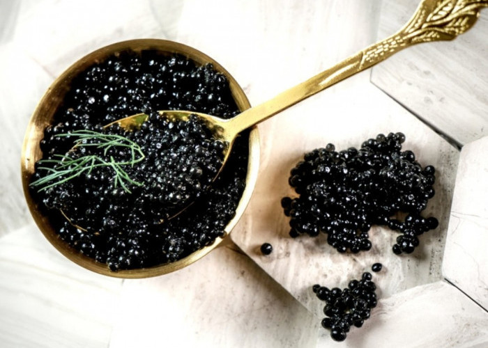 Sejarah Makanan Telur Caviar , Makanan Mewah dengan Tekstur Creamy