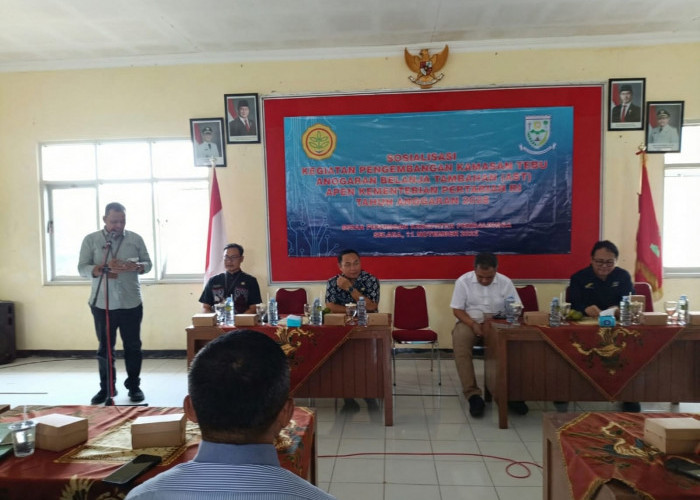 Komoditas Tebu di Purbalingga Jadi Harapan Baru Saat Harga Singkong Terjun Bebas