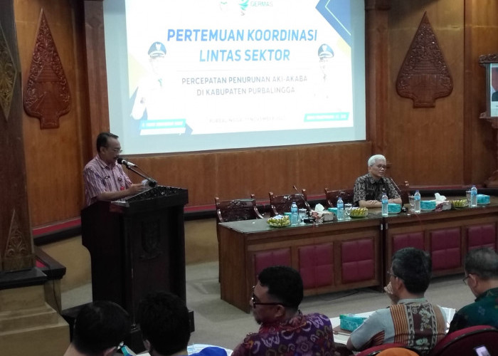 Kasus Kematian Bayi di Kabupaten Purbalingga Terjadi di Seluruh Wilayah Kerja Puskesmas