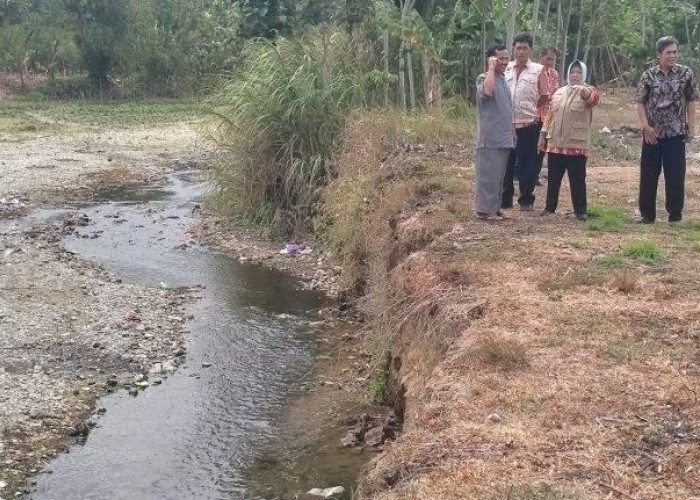 Tanggul Sungai Ciraja di Desa Ciporos Karangpucung Cilacap Tergerus Abrasi Sejauh 50 Meter