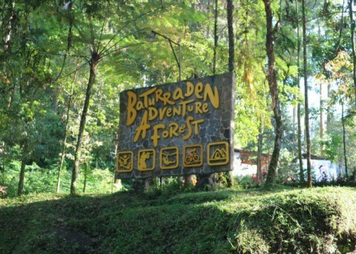 Sensasi Petualangan Tak Terlupakan di Baturraden Adventure Forest, Harga Tiket Terjangkau! 