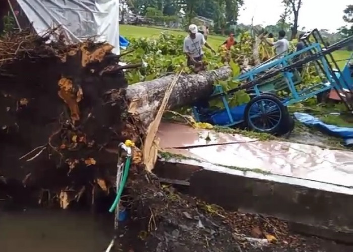Hujan Deras Disertai Angin Kencang Melanda Wilayah Cilacap