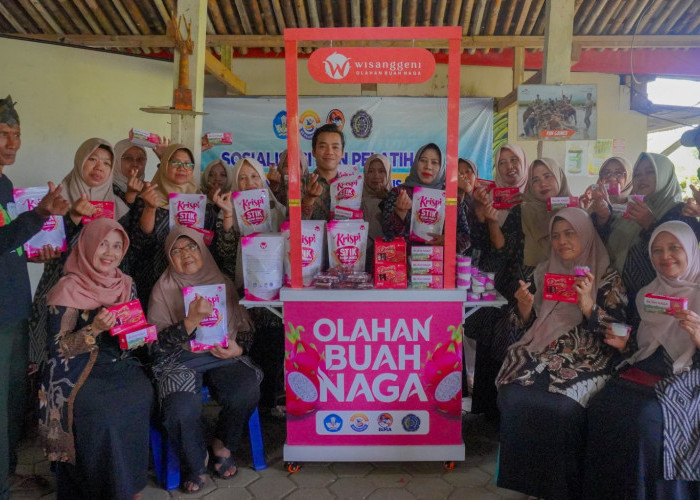 UMP Dorong Buah Naga Pekunden Naik Kelas, Dari Hasil Kebun Jadi Produk Wisata Bernilai Ekonomi