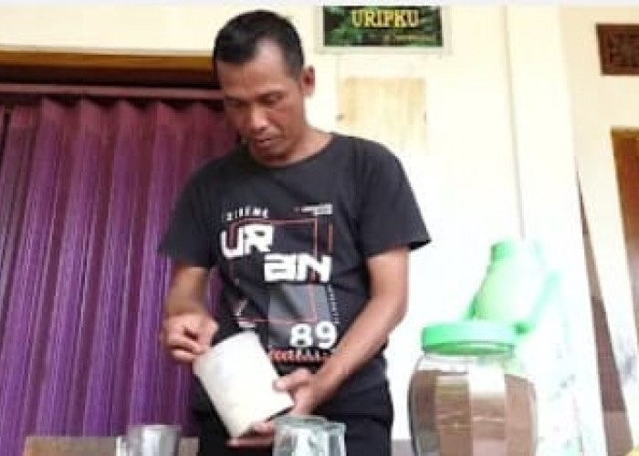 Kopi Cabai Jawa Desa Karangtengah Mulai Dilirik Pasar Luar Negeri