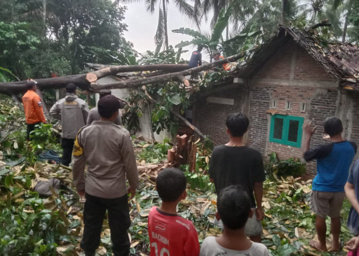 Hujan Deras Disertai Angin Kencang di Kejobong, Dua Rumah Warga Rusak 