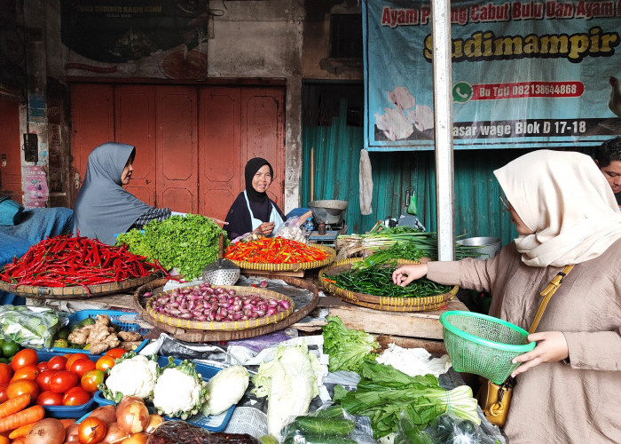 Harga Cabai Masih Terus Naik 