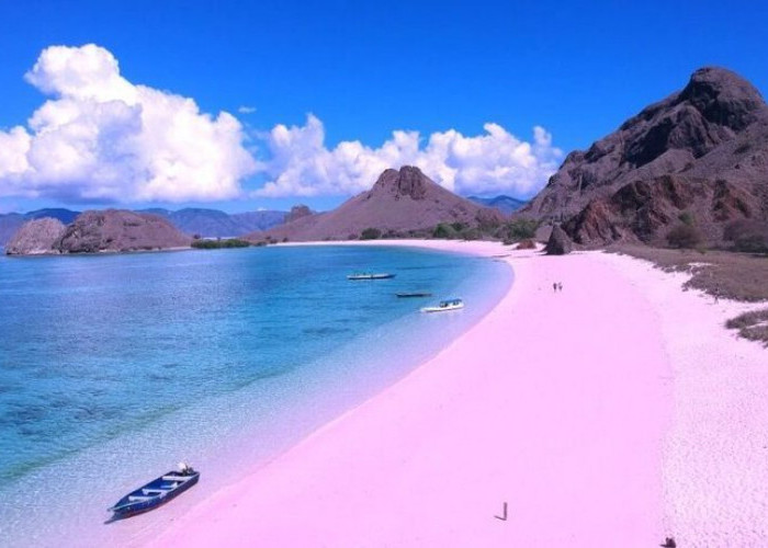 Pink Beach, Wisata Pantai Menakjubkan Di Pulau Komodo Indonesia