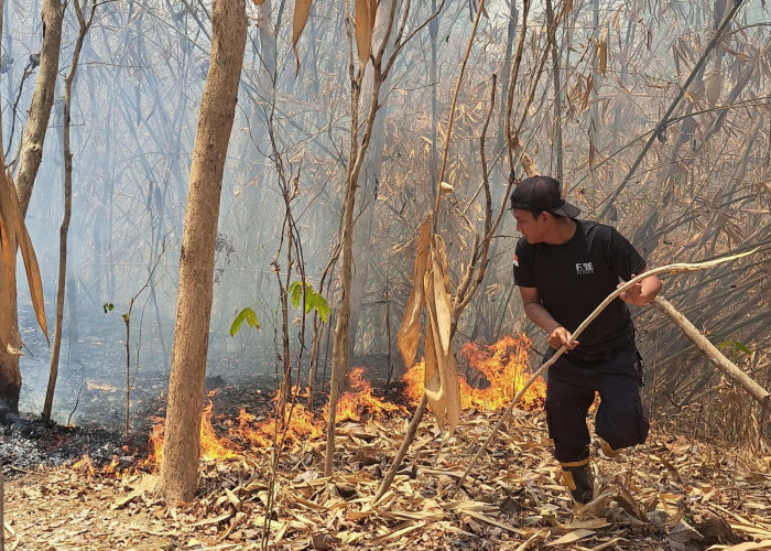 Kebakaran Lahan di Cilacap Capai 39 Kejadian, Luas Terdampak 88 Hektare