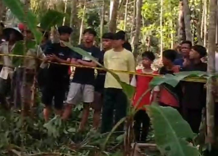 Warga Baleraksa Ditemukan Meninggal Dunia di Kebun Belakang Rumah