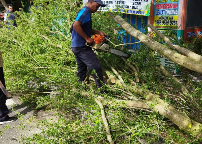 Innalillahi, Siswi SMP Meninggal Tertimpa Ranting Pohon di Cilacap
