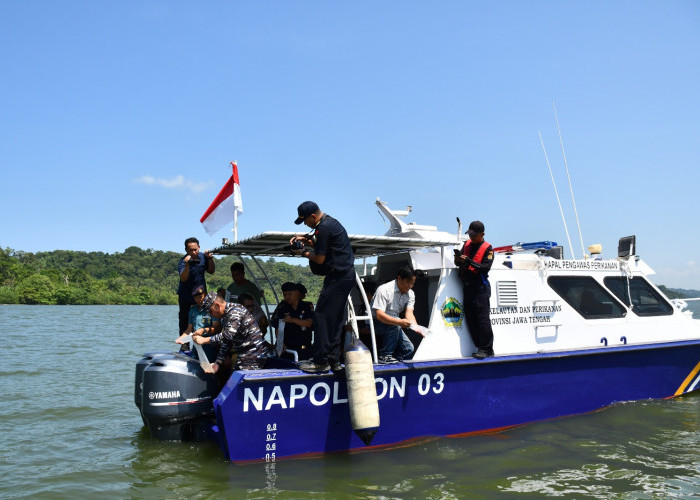 Ribuan Benih Lobster Hasil Penyelundupan Dikembalikan ke Laut Nusakambangan
