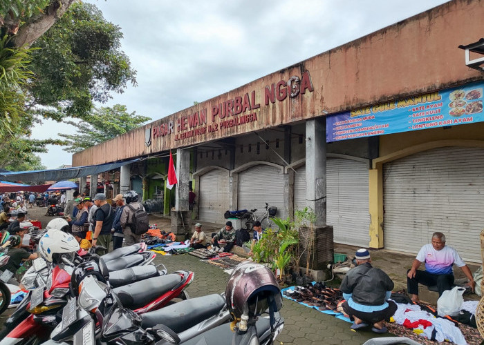 Revitalisasi Pasar Hewan Sulit Terealisasi Tahun Ini, Bakal Diusulkan Tahun 2026