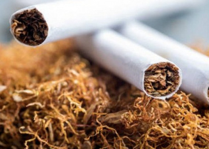 Merokok di Purbalingga Bisa Didenda Sampai Rp 50 Juta, Cek Lokasi Larangannya    