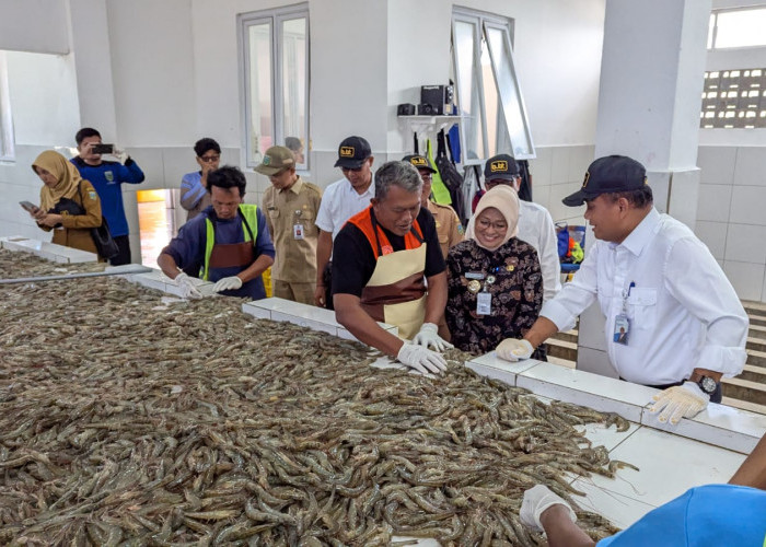 BUBK Tegalretno Jadi Percontohan Nasional, Serap Tenaga Kerja 95 Persen Warga Lokal