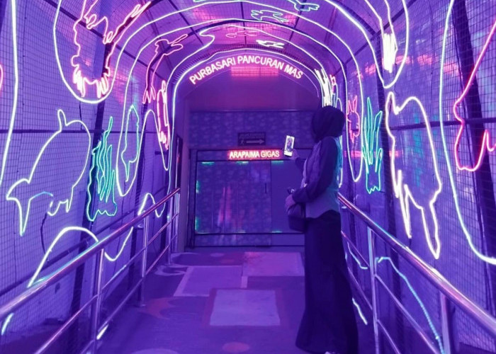 Wisata Edukasi dan Spot Foto Estetik di Aquarium Kansae Purbasari Pancuran Mas