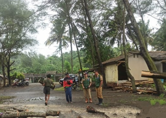 Diterjang Angin dan Pasang Laut, Pohon Tumbang Tutup Akses ke Pantai Sodong