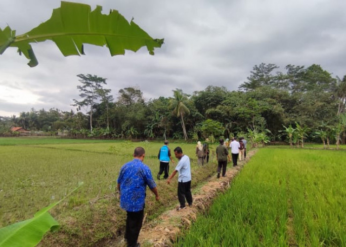 Tujuh Kecamatan Yang Berbatasan Dengan Kabupaten Cilacap Sudah Selesai Verifikasi Lapangan 