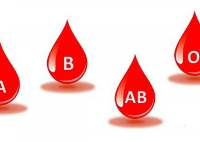 Yuk Mengenal Jenis-jenis Golongan Darah Manusia Beserta Karakteristiknya