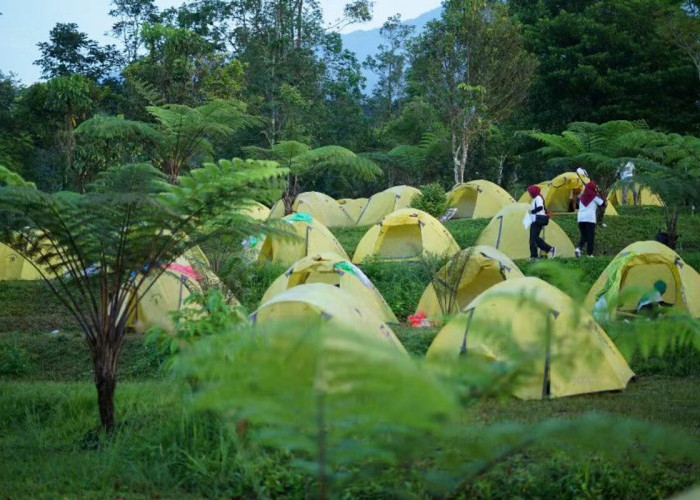 Wisata Camping dan Outbound yang Menyenangkan di Bukit Tengtung Baturraden 