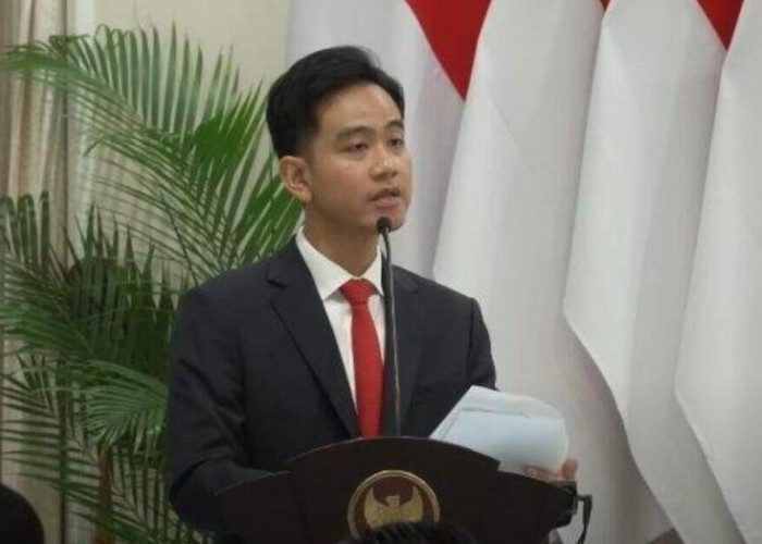 Wapres Gibran Menimbang Potensi Hilirisasi Kemenyan Sebagai Komoditas Berharga Seperti Nikel