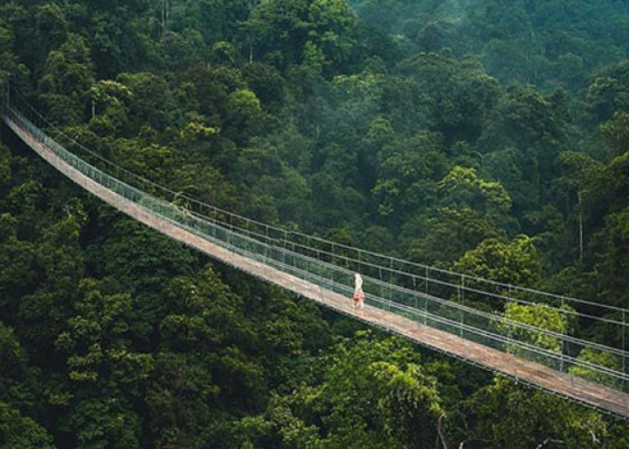 Wisata Jembatan Situ Gunung, Jembatan Gantung Terpanjang Se- Asia Tenggara