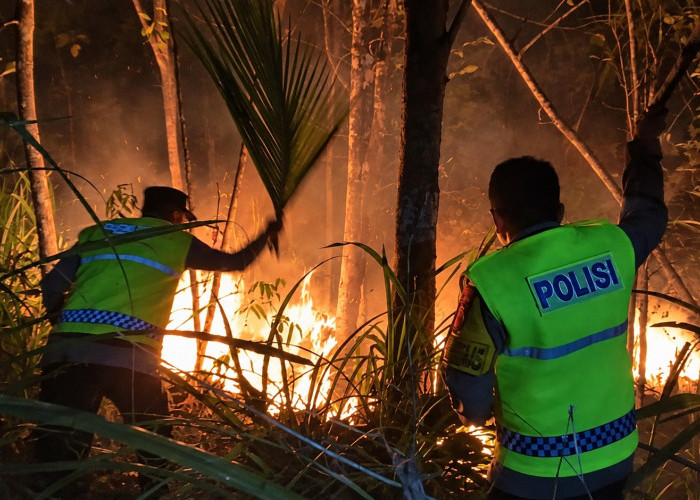 Empat Kebakaran Lahan Terjadi dalam Sepekan