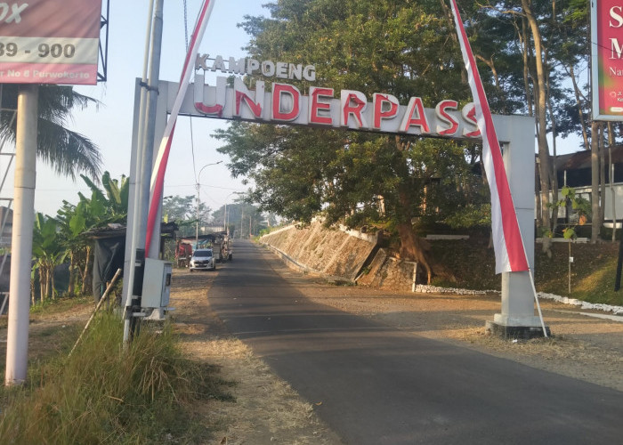 Operator Buka Opsi Trans Banyumas Dibeli Pemkab, Pengelola Siap Lepas hingga 100 Persen