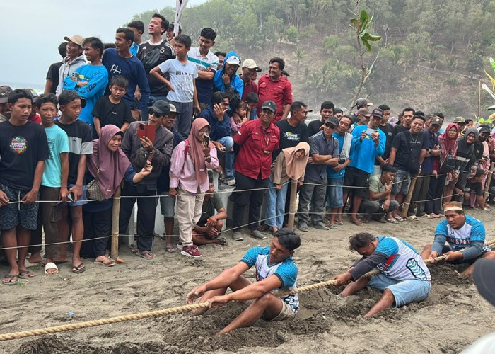 Seru! Ratusan Nelayan Kebumen Unjuk Kekuatan Tarik Tambang