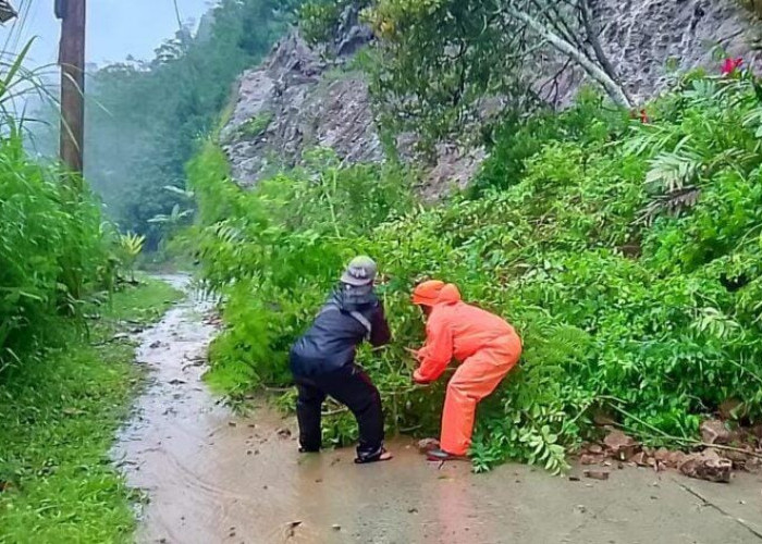 Awas Potensi Susulan Usai Tebing 15 meter Longsor, Jalur Banjarnegara-Dieng via Plipiran Ditutup