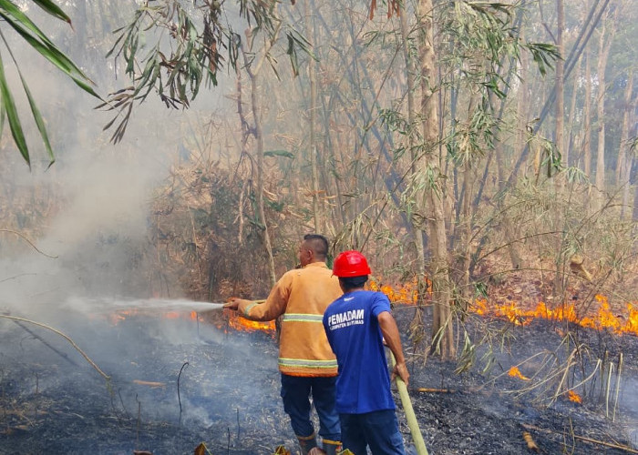 Tiga Lahan Terbakar Di Purwokerto Dalam Sehari, Angin Kencang Picu Api Cepat Merembet