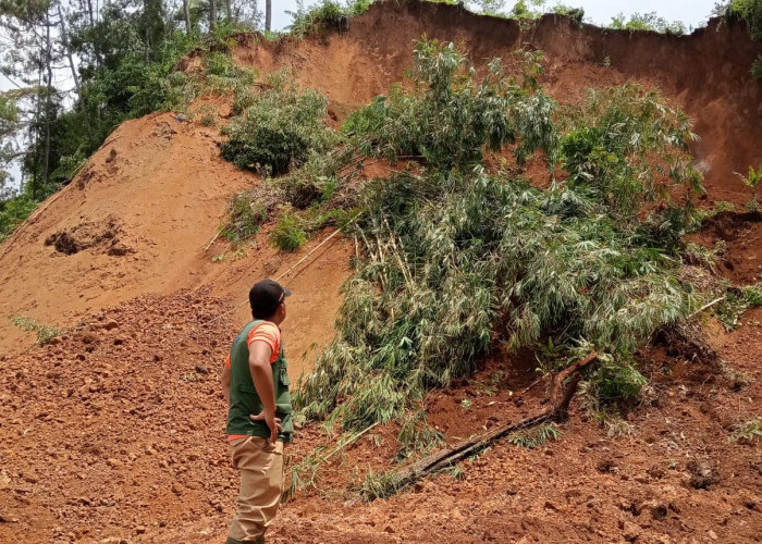 Tebing 50 Meter Ambrol di Cibeunying Cilacap, Jalan Kabupaten Tertimbun 90 Meter
