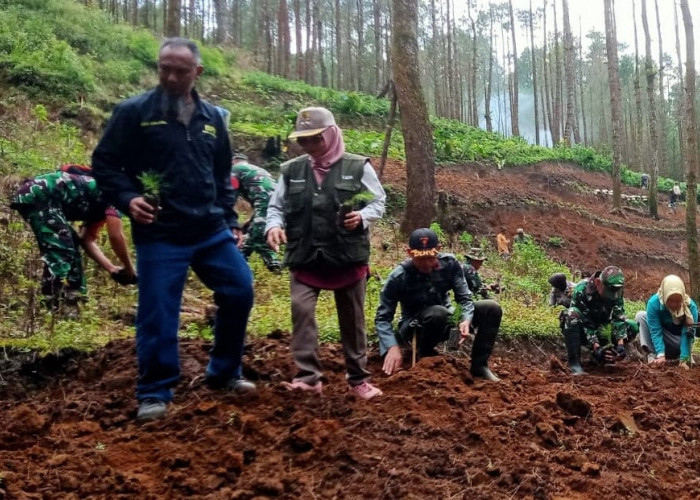 Reboisasi di Hutan Kalideres, Perhutani dan Warga Bersama Pulihkan Kerusakan Akibat Perambahan