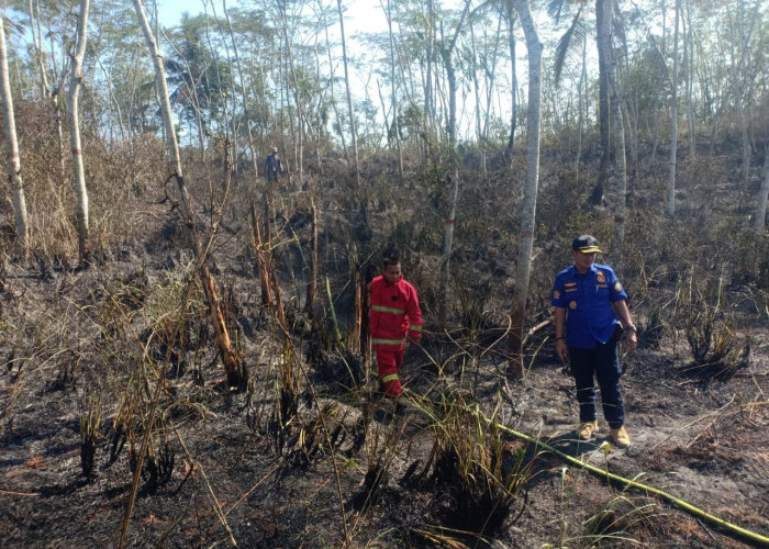 Bakar Sampah Sembarangan, Lahan Seluas 3,5 Hektare di Kedungwringin, Patikraja Ludes Terbakar
