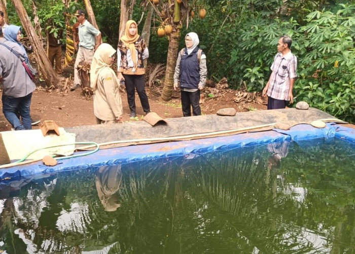 Lima Pokdakan Purbalingga Diverifikasi, Bantuan Hibah Capai Rp 200 Juta Lebih