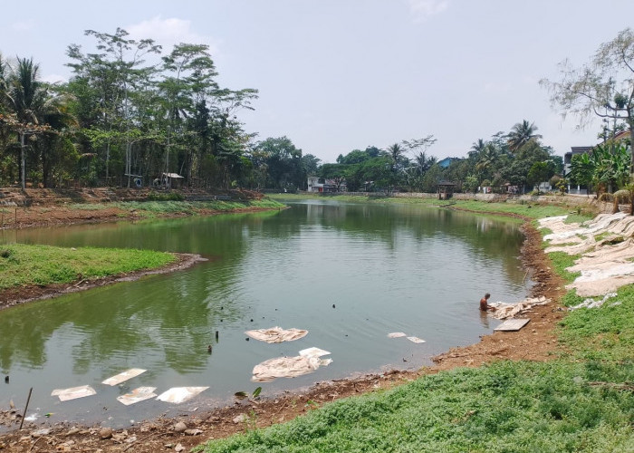 Debit Situ Elok Cilongok Banyumas Menyusut Sebabkan Wisata Sepi, Pedagang Kehilangan Pembeli Saat Kemarau