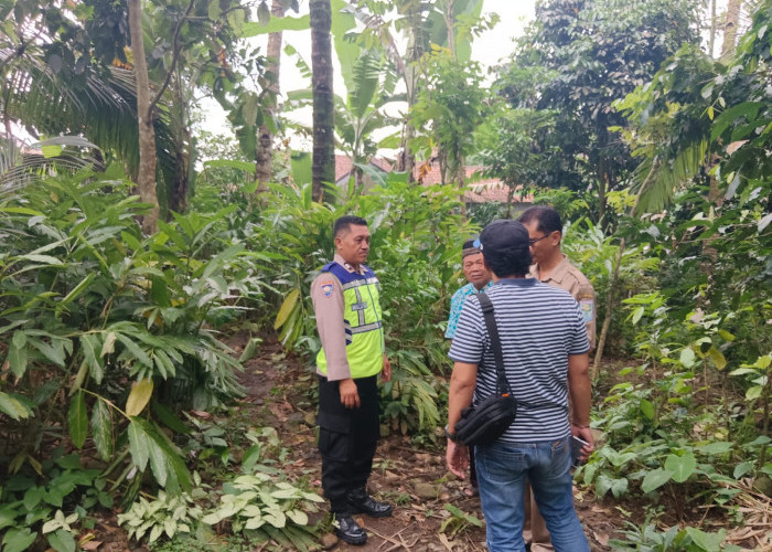 Jatuh dari Pohon Setinggi 16 Meter, Penderes Bobotsari Purbalingga Meninggal di Tempat