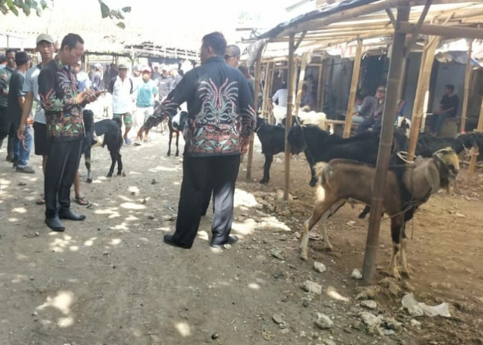 Dinperindag Cek Lokasi Pasar Unggas di Sumpuih, Terkait Adanya Laporan dari Masyarakat