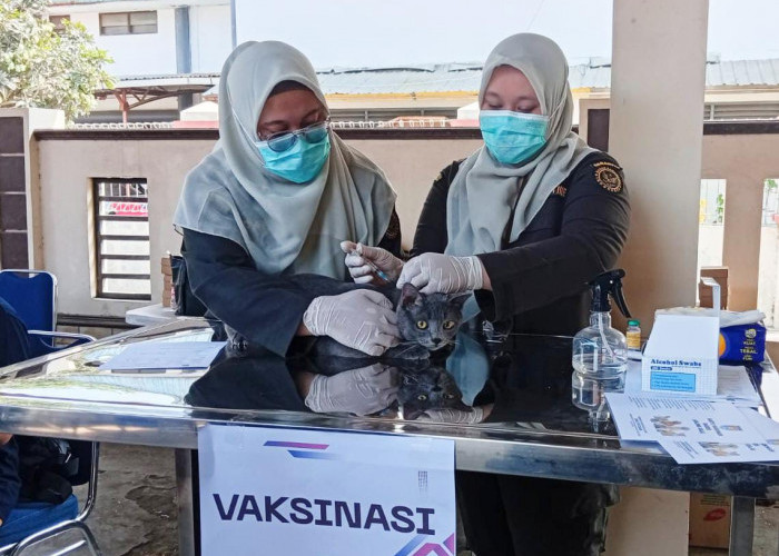 15 Ribu Hewan di Cilacap Berpotensi Bawa Rabies, 800 Ditarget Vaksin