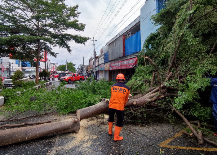 Hujan Deras Disertai Angin Kencang di Purbalingga, Pohon dan Papan Reklame Roboh