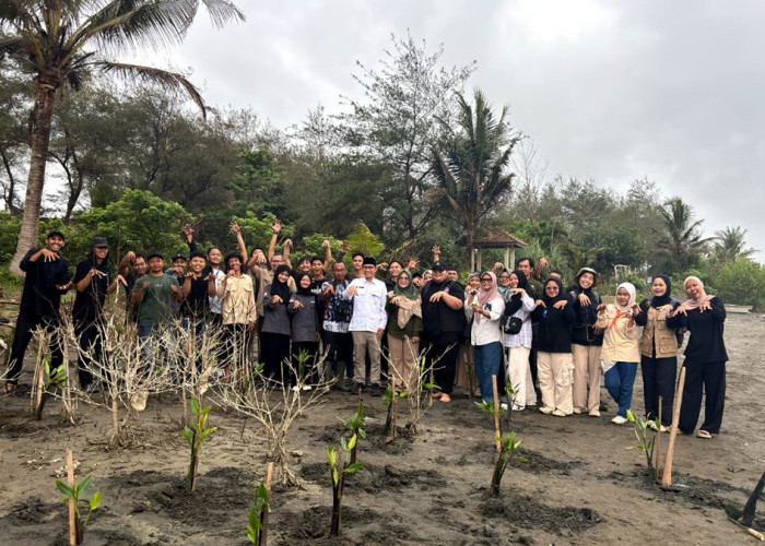 Kawasan Pantai Kaliratu Jogosimo Dihijaukan